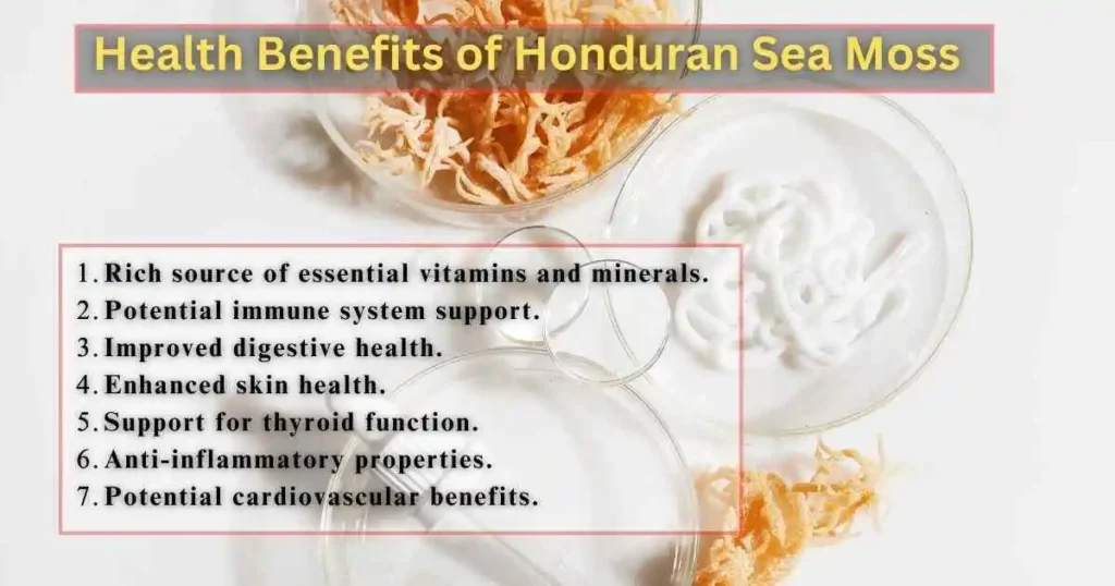 Health Benefits of Honduran Sea Moss