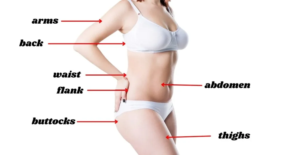 Targeted Areas for Liposuction