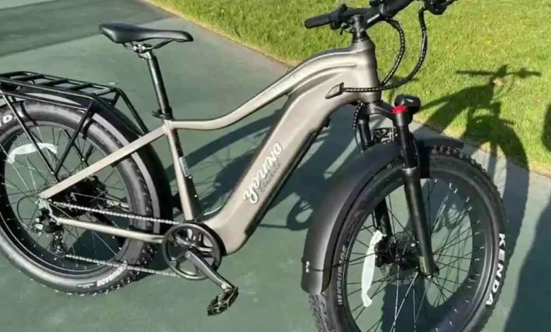 Electric Bike