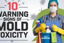 10 Warning Signs of Mold