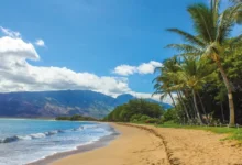 Best Things to Do in Maui