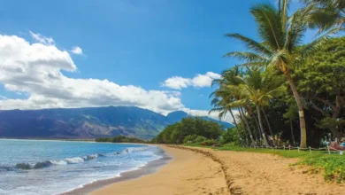 Best Things to Do in Maui